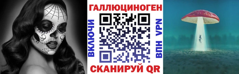 закладка  Будённовск  Псилоцибиновые грибы мухоморы 